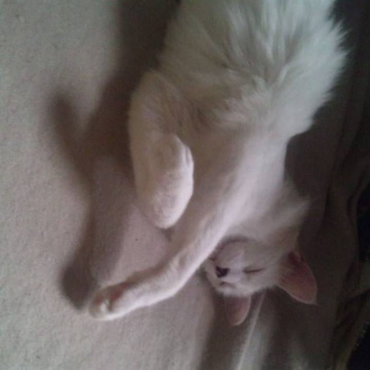 5f5198aa 4941 42ea 994b 0c21748ba36c 1686956779441