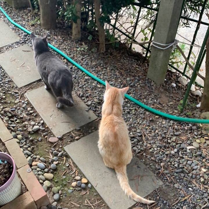 5f51bc6b 99c9 43ee b115 b97cfabf595d 1602022237483