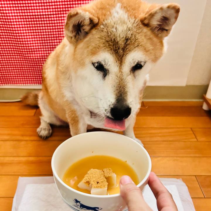 5f51e9a3 4cb8 4060 8d99 d4fcea0c7b5b 1756429032795