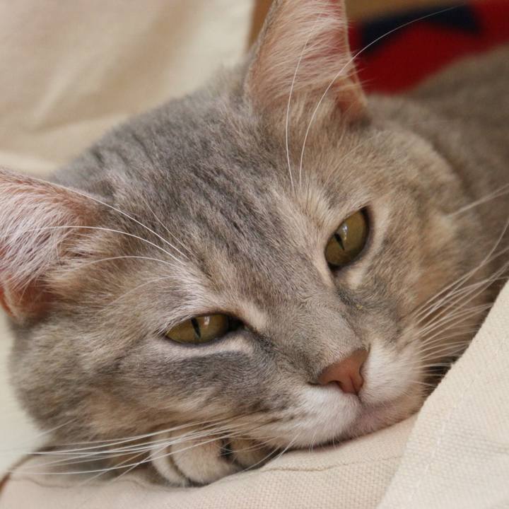 5f52226d 11c6 4e7d 89ff 824f99982925 1542700806753