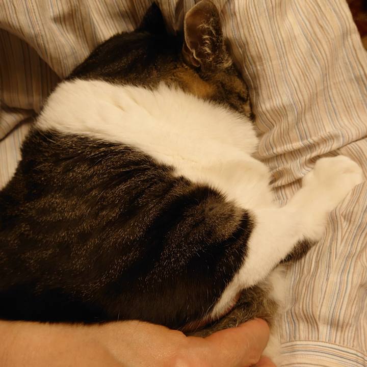 5f528986 2461 4794 85a1 755910df83be 1620040952825