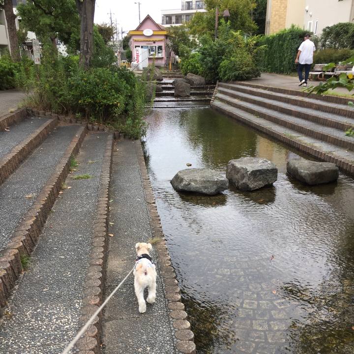 5f52daba 18fa 4e5f 9cd1 229c7f5bfad6 1538977960451