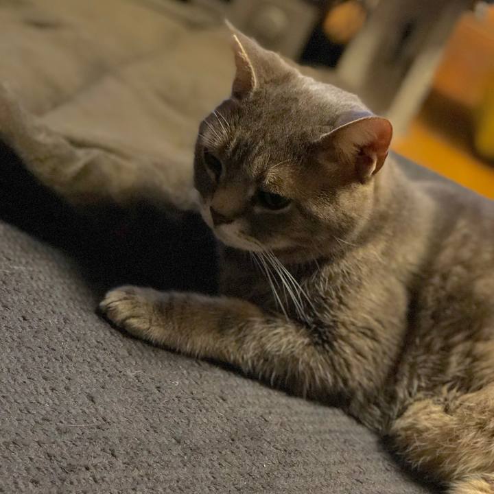 5f52f2e1 036b 46b5 b84b aa6fc2969cd5 1536752321193