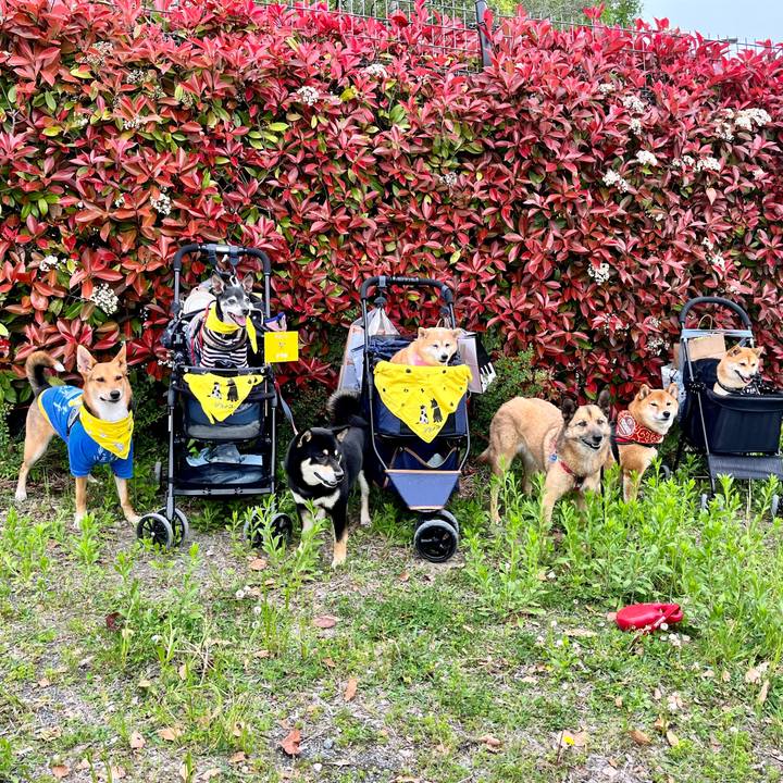 5f53054a be38 4d03 8449 4d6a43998950 1650694201945