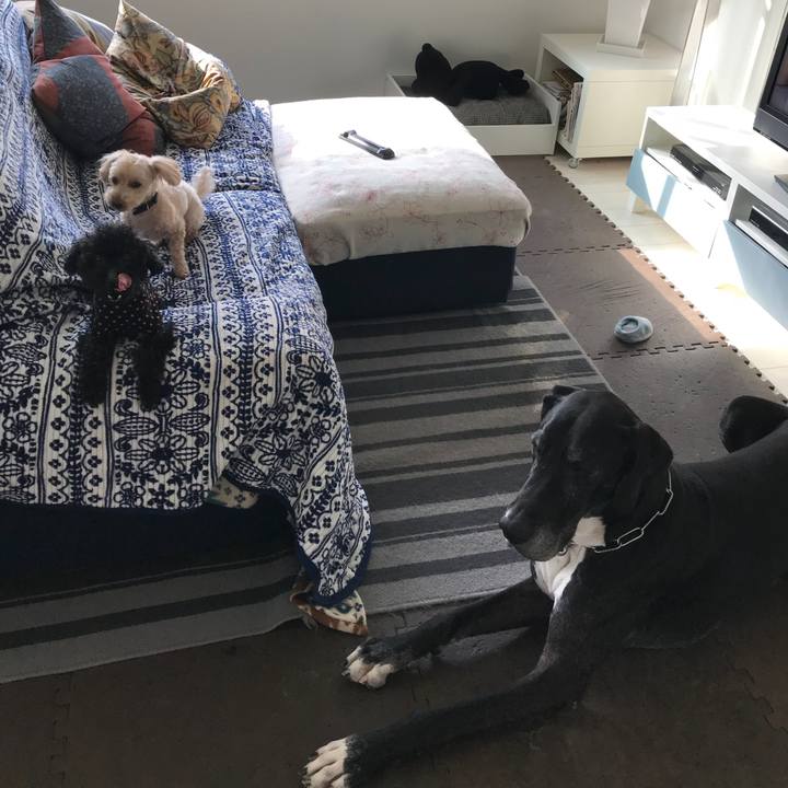 5f5309e2 fccb 46cf bbf9 a106a9717608 1522364150623