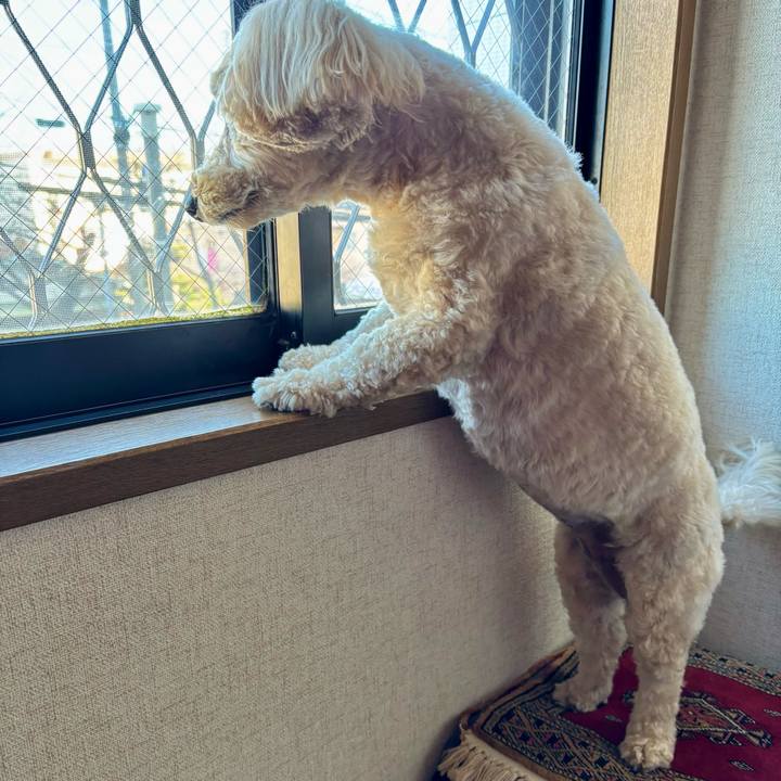 5f532237 e566 415b 9315 70f39ddb78ab 1766891142843