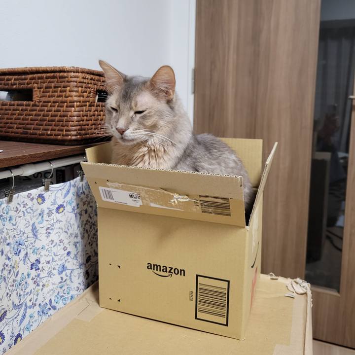 5f53227c a050 4824 b638 903be9728c06 1641172730564