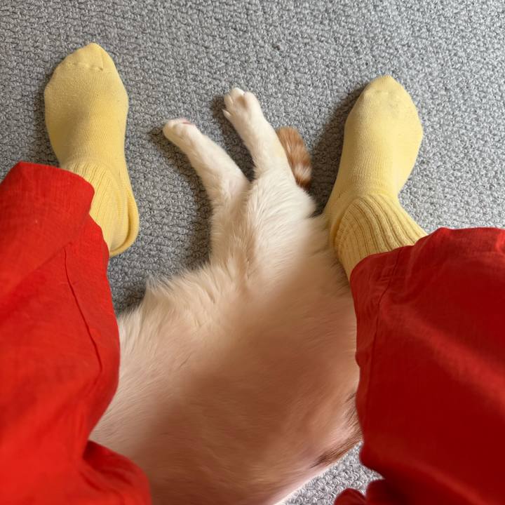 5f5367ef d1a3 4e6c b183 401a7ca1fbcb 1776654566108