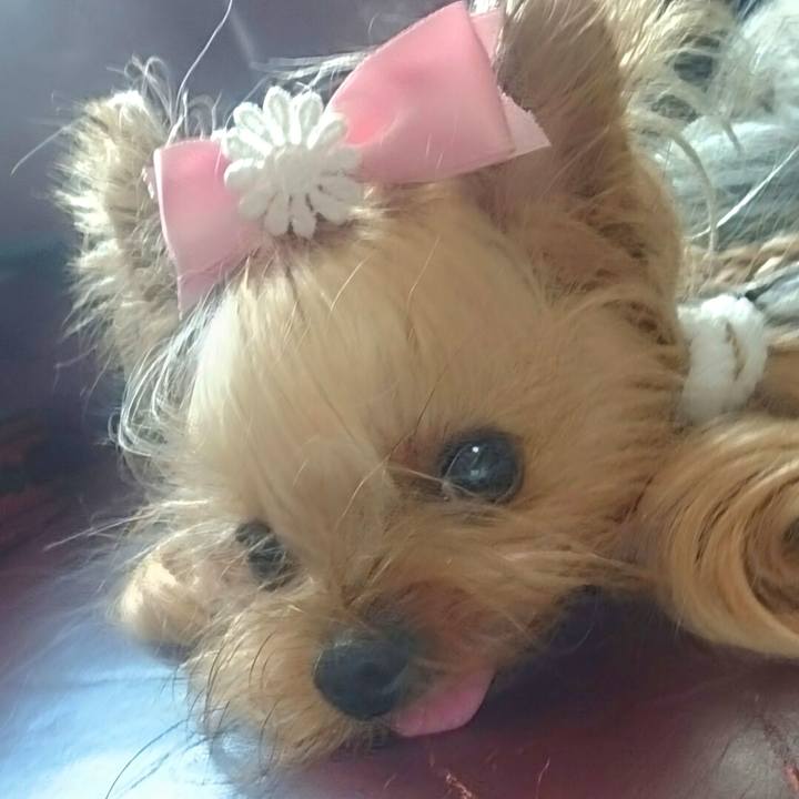 5f53746c cb21 4734 8810 2fffaf4226ca 1763440553187