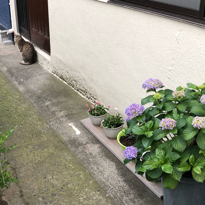 5f537caa 1228 48da 8024 0856b360f941 1527861040458