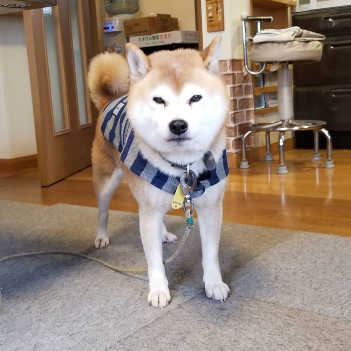 5f53917b fdcd 45cb a6d6 7fd4f9d4c60b 1635136340381