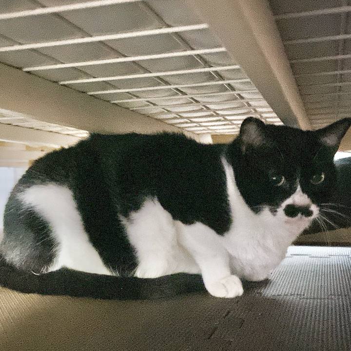 5f54198d 70a8 4e4f b96f ebc32db54c9e 1705370171746