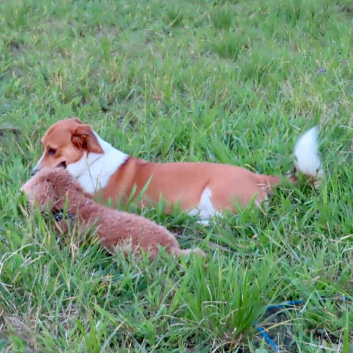 5f546c77 2293 4219 a8d2 cbe4f14b80e4 1631280319240