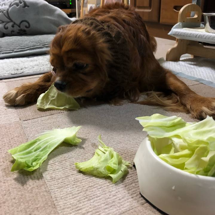 5f548bea 106b 462f 8c3a e37e03f23c97 1646605707797