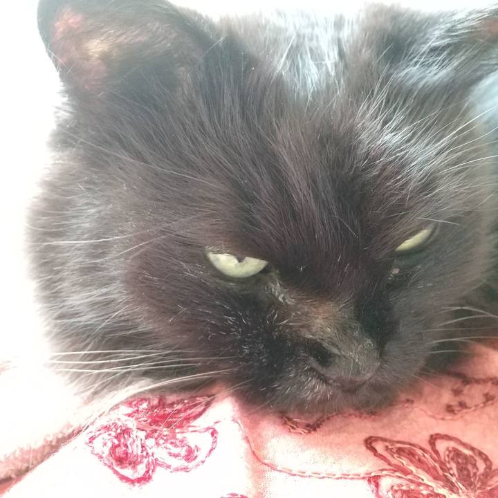 5f5492a3 8e18 48a7 a326 5d4049db1834 1603673970646