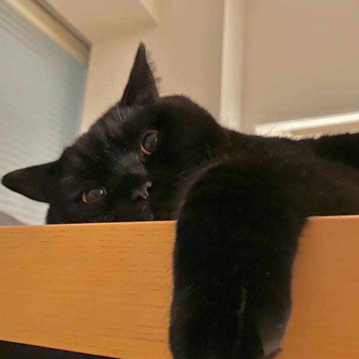 5f54d1a9 91ec 4675 9d2d 0a48ae6caf3a 1661953879868