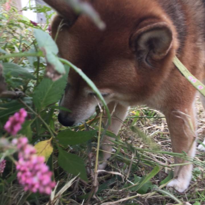 5f54fb30 04d6 47e7 8cb1 32de7b18aa7f 1603766314602