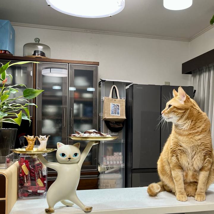 5f5509ab 8c28 4e1e b45f c081dc2cae03 1698364423616