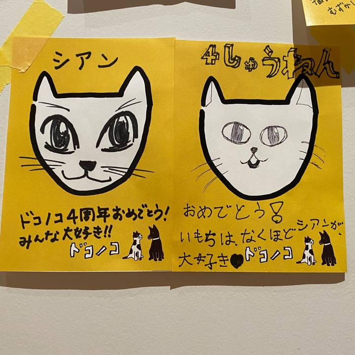 5f551b56 2ff5 458c 90d6 08b7c97d6044 1592222677618