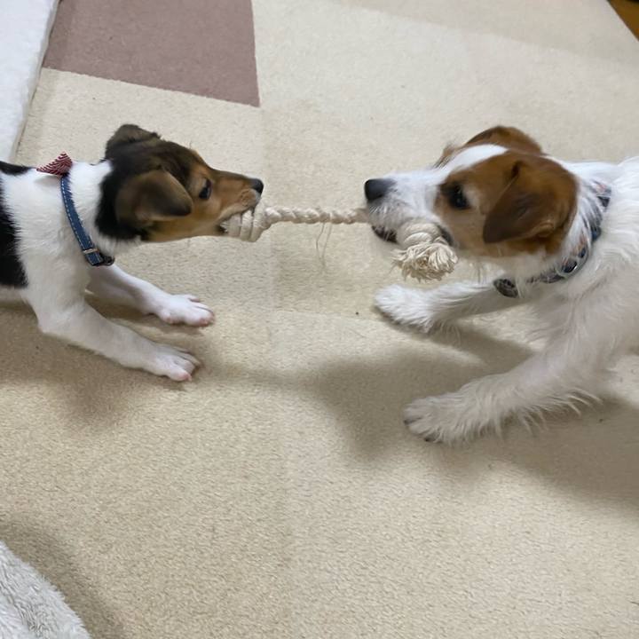 5f553bd2 595b 436d a67f a96a2688d95e 1743199546919