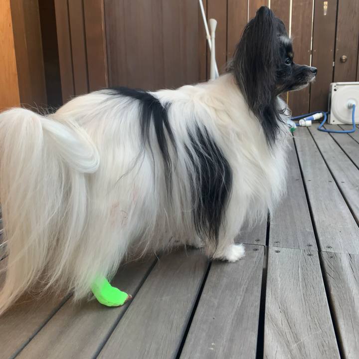 5f554aef 1445 489c a1a3 f8f2c8ebcf85 1624280283564