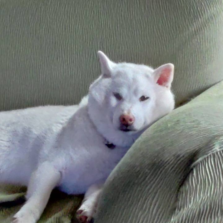 5f556138 dd23 4fb8 ad3c a44b54679a1f 1634167060921