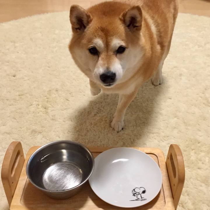 5f556441 8d33 4807 893d 0190267c8241 1592486151310