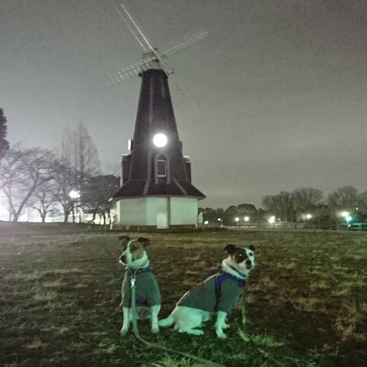 5f556459 0e60 4eb2 9fba 26b8adc7dfc7 1579778962454