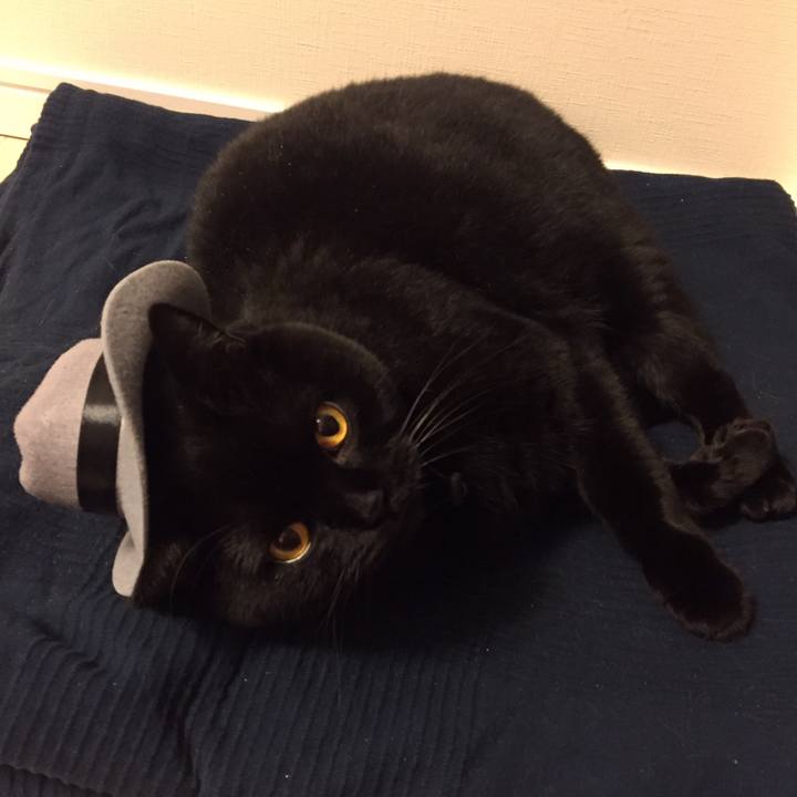 5f556d40 3598 4260 93ad 3a97f8d75b29 1574400581062