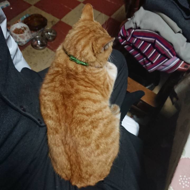 5f55a59b 14ee 4f4c 90a9 ada36a106aaa 1585907093692