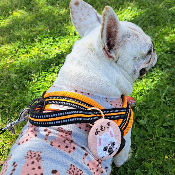 5f55af49 96cd 4c65 a96f 6918afd26243 1713571361514