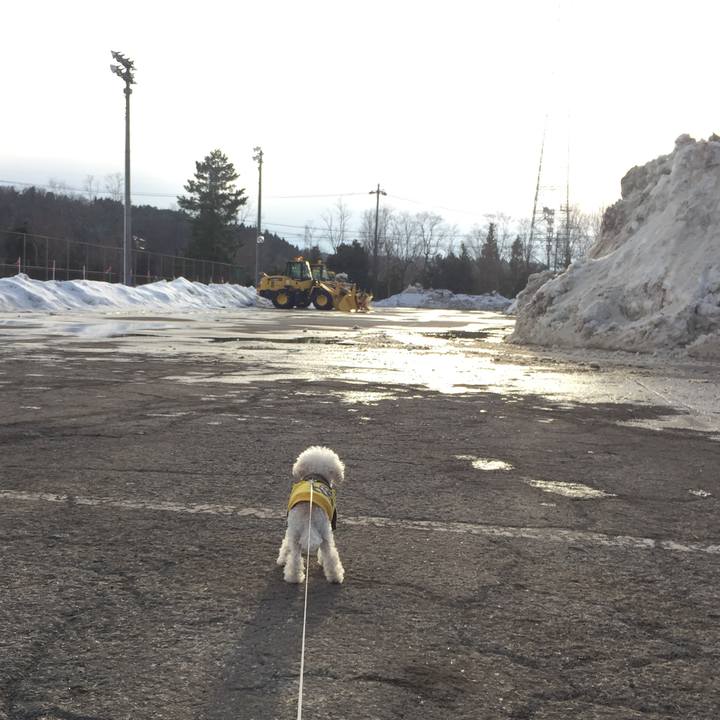 5f55deb0 eca7 4e5d bed6 6fc30bccbb7c 1517800885191