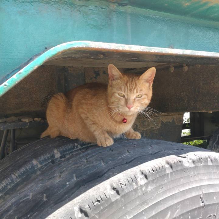 5f55eac8 8a3f 449a 9298 f60ff6521f3f 1746589641247