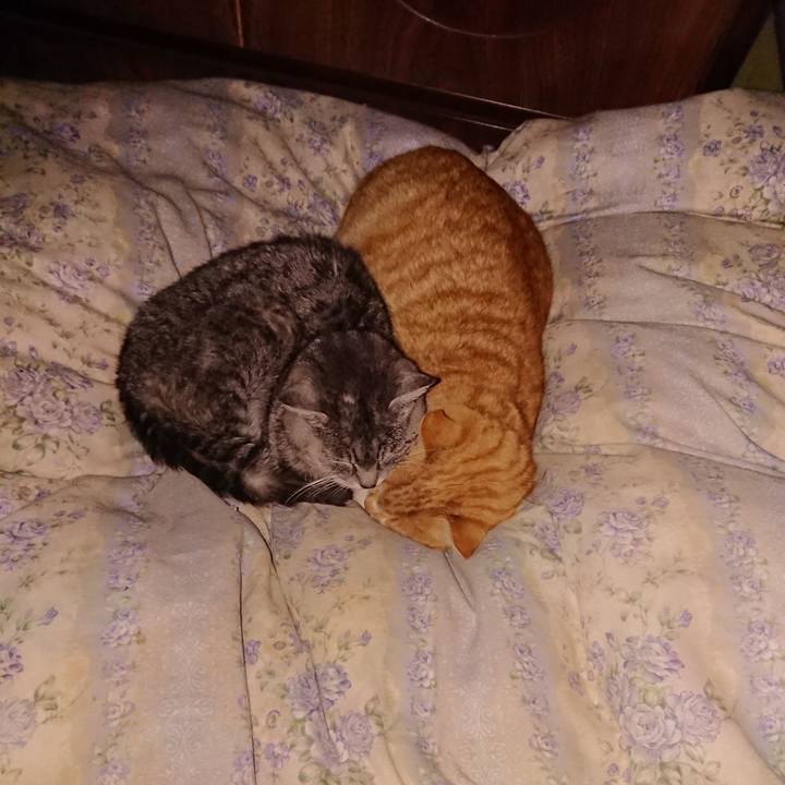 5f561c72 8564 4437 99e0 e87c6865117a 1579971125679