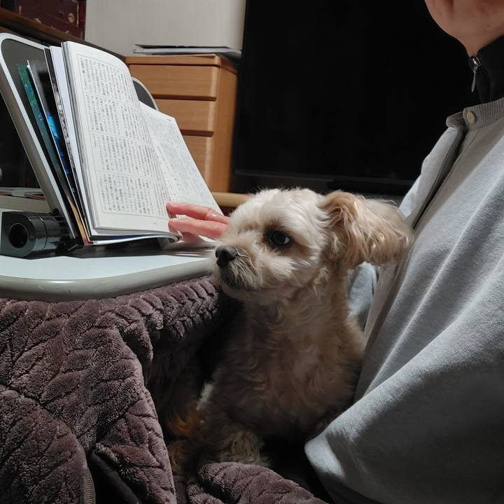 5f562eb1 80ec 4026 98c0 19097ae173c8 1668671677524