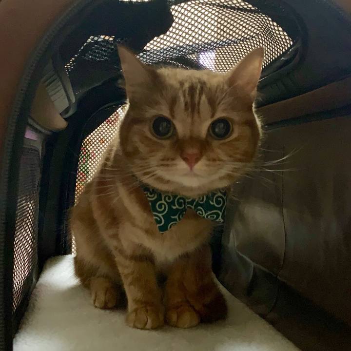 5f563d86 6e85 4026 9756 f17e69f8c63a 1567727879743