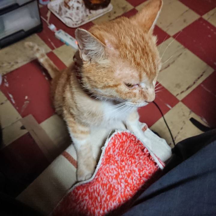 5f5650cc 4283 424d b185 281ae9233123 1559159559470