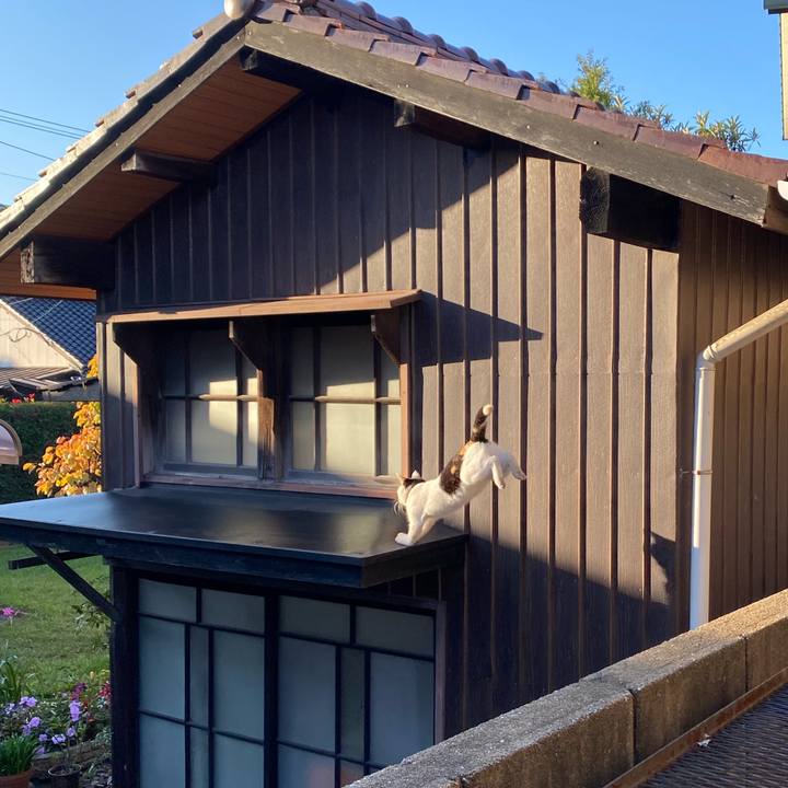 5f568500 f374 4316 bcda 4af2b74b6b9a 1636269049852