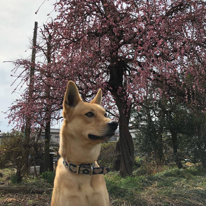 5f56a67c 6065 43cf ba95 fb36d509d966 1552181137212