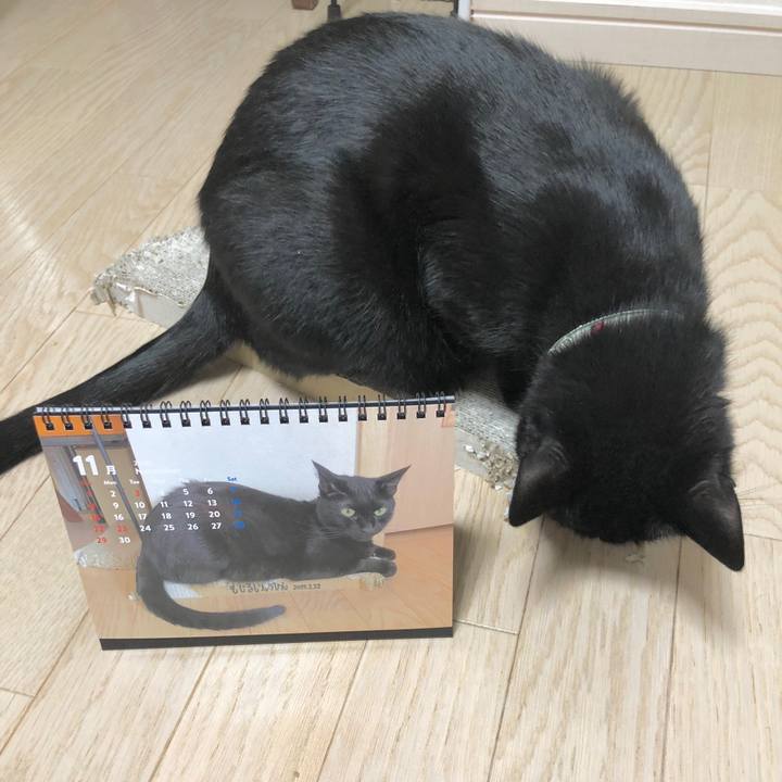 5f56af1b f641 484b 87a8 621e3f9cc4ac 1604581444053