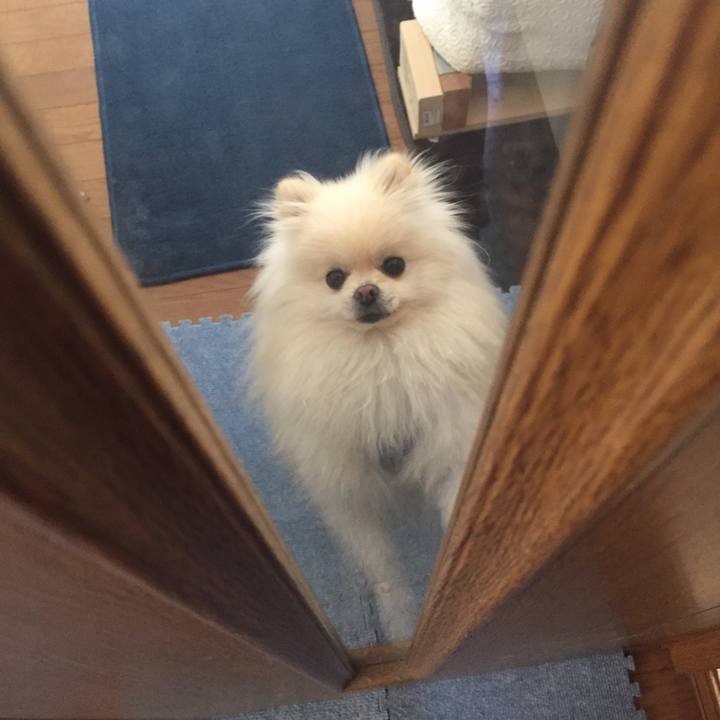 5f56b921 38cb 4ab2 8ffe e3032dfba5fe 1517363937703