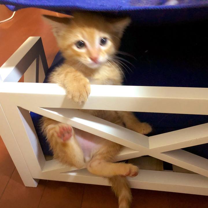 5f56e72b dd86 4816 8f97 24807bf33095 1561724592733