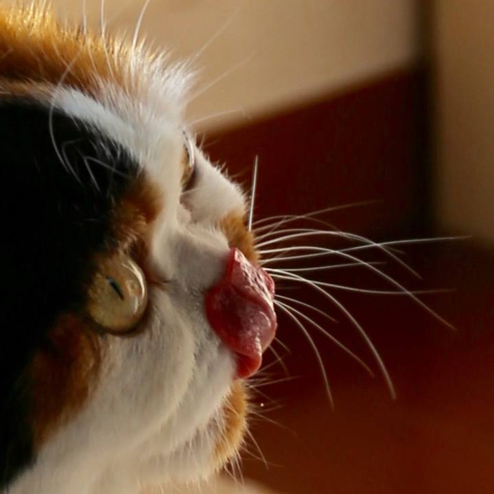 5f56f2c5 ca9e 4520 af0a a43c3e4cfa44 1562909462170