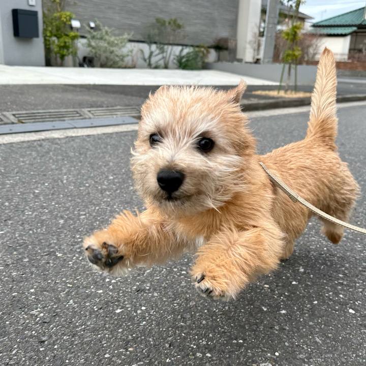 5f56fed6 b363 4a5c 8fd2 c75029190b3f 1708839013447