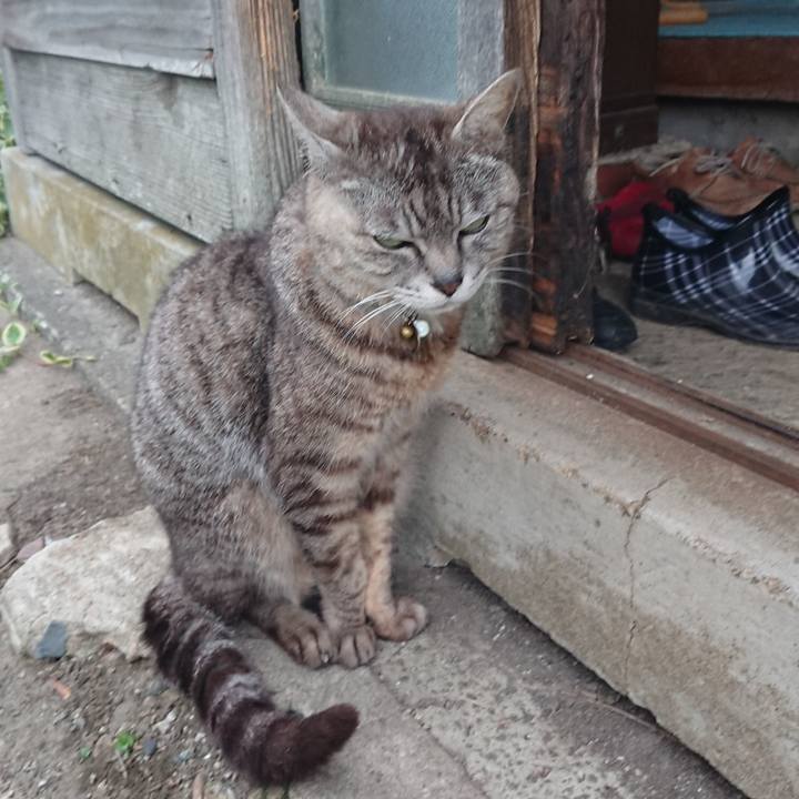 5f570c2e e05e 4585 b4e3 4233650fec42 1563105386010