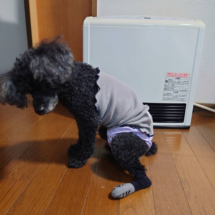 5f57423e 30fa 4f8a bd71 814884fa89aa 1763247451062