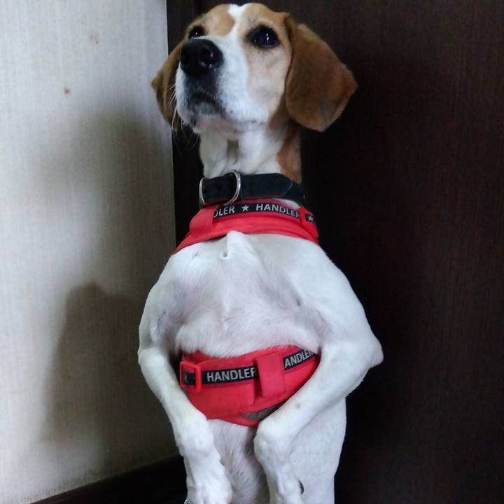 5f574fdb d1c3 40bb be97 0a6519693689 1700477236996