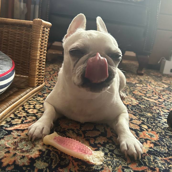 5f57758e 6a8f 49b2 b383 1b67d8e1e8a2 1718062924592