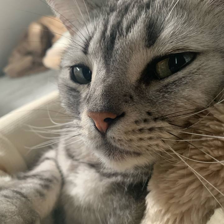 5f5779ae fd7f 4111 b6bb c1ae1927cbb8 1666408884104