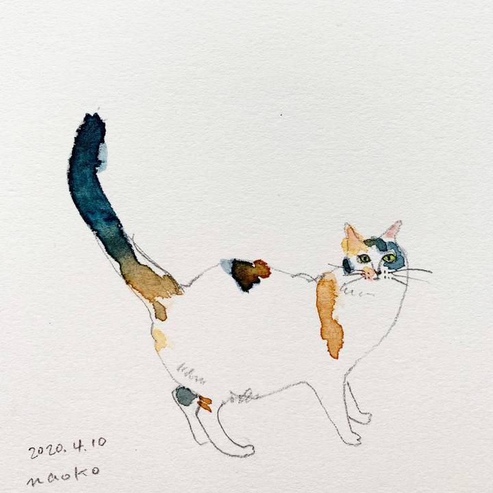 5f578b42 992b 43bf 8a70 59499aa02826 1586483718935